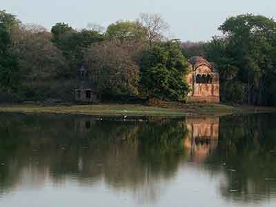 Raj Bagh Ruins Ranthambore