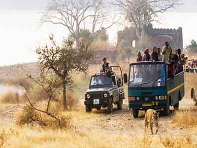 Rajasthan Tours de Vida Silvestre